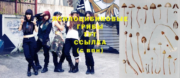 Альфа ПВП Алзамай