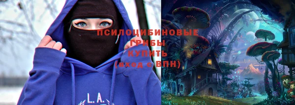 твердый Алексин